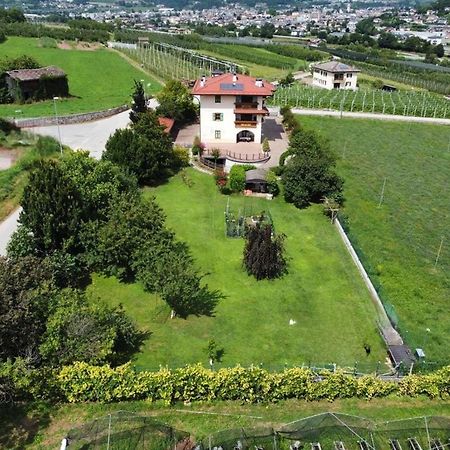 Il Gallo Pergine Valsugana Exterior photo