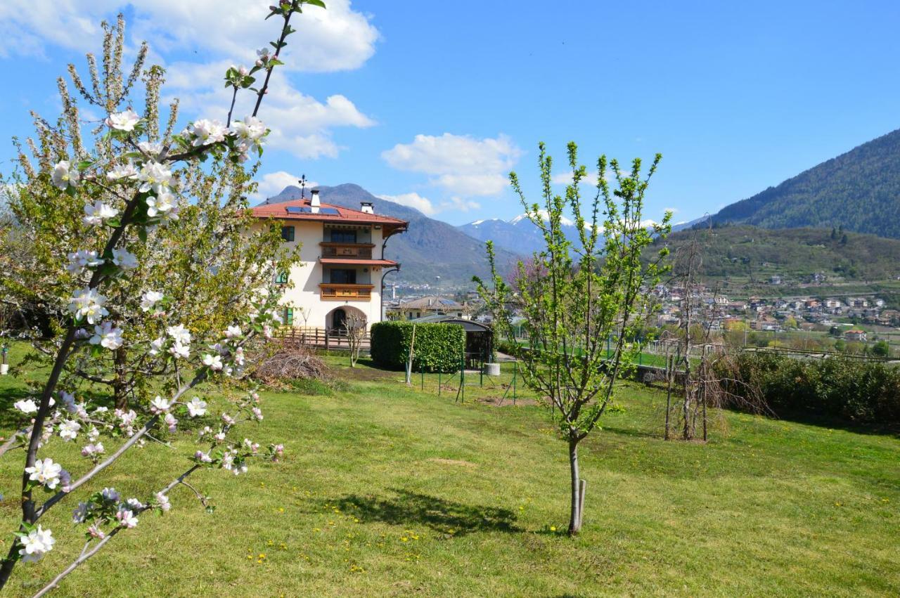 Il Gallo Pergine Valsugana Exterior photo